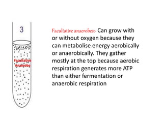 Facultative anaerobes:- Can grow with
or without oxygen because they
can metabolise energy aerobically
or anaerobically. They gather
mostly at the top because aerobic
respiration generates more ATP
than either fermentation or
anaerobic respiration
