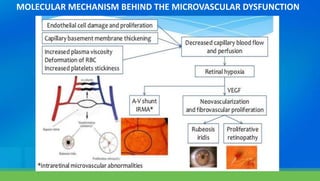 MOLECULAR MECHANISM BEHIND THE MICROVASCULAR DYSFUNCTION
 