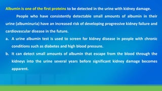 Albumin is one of the first proteins to be detected in the urine with kidney damage.
People who have consistently detectable small amounts of albumin in their
urine (albuminuria) have an increased risk of developing progressive kidney failure and
cardiovascular disease in the future.
a. A urine albumin test is used to screen for kidney disease in people with chronic
conditions such as diabetes and high blood pressure.
b. It can detect small amounts of albumin that escape from the blood through the
kidneys into the urine several years before significant kidney damage becomes
apparent.
 