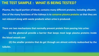 Plasma, the liquid portion of blood, contains many different proteins, including albumin.
One of the many functions of the kidneys is to conserve plasma proteins so that they are
not released along with waste products when urine is produced.
There are two mechanisms that normally prevent protein from passing into urine:
(1) the glomeruli provide a barrier that keeps most large plasma proteins inside
the blood vessels and
(2) the smaller proteins that do get through are almost entirely reabsorbed by the
tubules.
THE TEST SAMPLE : WHAT IS BEING TESTED?
 