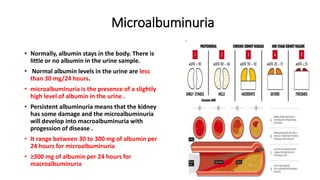 Microalbuminuria
• Normally, albumin stays in the body. There is
little or no albumin in the urine sample.
• Normal albumin levels in the urine are less
than 30 mg/24 hours.
• microalbuminuria is the presence of a slightly
high level of albumin in the urine .
• Persistent albuminuria means that the kidney
has some damage and the microalbuminuria
will develop into macroalbuminuria with
progession of disease .
• It range between 30 to 300 mg of albumin per
24 hours for microalbuminuria
• ≥300 mg of albumin per 24 hours for
macroalbuminuria
 