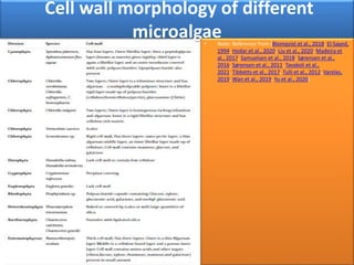 Cell wall morphology of different
microalgae
• Note: Reference from (Blomqvist et al., 2018, El-Sayed,
1994, Hodar et al., 2020, Liu et al., 2020, Madeira et
al., 2017, Samuelsen et al., 2018, Sørensen et al.,
2016, Sørensen et al., 2011, Tavakoli et al.,
2021, Tibbetts et al., 2017, Tulli et al., 2012, Varelas,
2019, Wan et al., 2019, Yu et al., 2020)
 