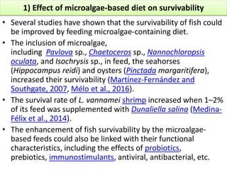 1) Effect of microalgae-based diet on survivability
• Several studies have shown that the survivability of fish could
be improved by feeding microalgae-containing diet.
• The inclusion of microalgae,
including Pavlova sp., Chaetoceros sp., Nannochloropsis
oculata, and Isochrysis sp., in feed, the seahorses
(Hippocampus reidi) and oysters (Pinctada margaritifera),
increased their survivability (Martínez-Fernández and
Southgate, 2007, Mélo et al., 2016).
• The survival rate of L. vannamei shrimp increased when 1–2%
of its feed was supplemented with Dunaliella salina (Medina-
Félix et al., 2014).
• The enhancement of fish survivability by the microalgae-
based feeds could also be linked with their functional
characteristics, including the effects of probiotics,
prebiotics, immunostimulants, antiviral, antibacterial, etc.
 