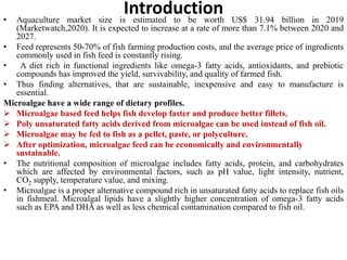 Introduction
• Aquaculture market size is estimated to be worth US$ 31.94 billion in 2019
(Marketwatch,2020). It is expected to increase at a rate of more than 7.1% between 2020 and
2027.
• Feed represents 50-70% of fish farming production costs, and the average price of ingredients
commonly used in fish feed is constantly rising.
• A diet rich in functional ingredients like omega-3 fatty acids, antioxidants, and prebiotic
compounds has improved the yield, survivability, and quality of farmed fish.
• Thus finding alternatives, that are sustainable, inexpensive and easy to manufacture is
essential.
Microalgae have a wide range of dietary profiles.
 Microalgae based feed helps fish develop faster and produce better fillets.
 Poly unsaturated fatty acids derived from microalgae can be used instead of fish oil.
 Microalgae may be fed to fish as a pellet, paste, or polyculture.
 After optimization, microalgae feed can be economically and environmentally
sustainable.
• The nutritional composition of microalgae includes fatty acids, protein, and carbohydrates
which are affected by environmental factors, such as pH value, light intensity, nutrient,
CO2 supply, temperature value, and mixing.
• Microalgae is a proper alternative compound rich in unsaturated fatty acids to replace fish oils
in fishmeal. Microalgal lipids have a slightly higher concentration of omega-3 fatty acids
such as EPA and DHA as well as less chemical contamination compared to fish oil.
 
