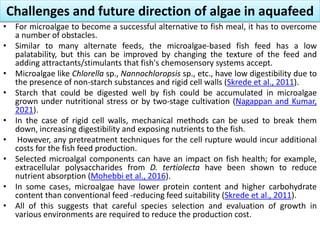 Challenges and future direction of algae in aquafeed
• For microalgae to become a successful alternative to fish meal, it has to overcome
a number of obstacles.
• Similar to many alternate feeds, the microalgae-based fish feed has a low
palatability, but this can be improved by changing the texture of the feed and
adding attractants/stimulants that fish's chemosensory systems accept.
• Microalgae like Chlorella sp., Nannochloropsis sp., etc., have low digestibility due to
the presence of non-starch substances and rigid cell walls (Skrede et al., 2011).
• Starch that could be digested well by fish could be accumulated in microalgae
grown under nutritional stress or by two-stage cultivation (Nagappan and Kumar,
2021).
• In the case of rigid cell walls, mechanical methods can be used to break them
down, increasing digestibility and exposing nutrients to the fish.
• However, any pretreatment techniques for the cell rupture would incur additional
costs for the fish feed production.
• Selected microalgal components can have an impact on fish health; for example,
extracellular polysaccharides from D. tertiolecta have been shown to reduce
nutrient absorption (Mohebbi et al., 2016).
• In some cases, microalgae have lower protein content and higher carbohydrate
content than conventional feed -reducing feed suitability (Skrede et al., 2011).
• All of this suggests that careful species selection and evaluation of growth in
various environments are required to reduce the production cost.
 
