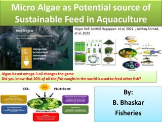 Micro Algae as Potential source of
Sustainable Feed in Aquaculture
By:
B. Bhaskar
Fisheries
Major Ref: Senthil Nagappan et al, 2021. ; Ashfaq Ahmad,
et al, 2022
Algae-based omega-3 oil changes the game
Did you know that 20% of all the fish caught in the world is used to feed other fish?
 