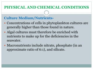 PHYSICAL AND CHEMICAL CONDITIONS
Culture Medium/Nutrients-
 Concentrations of cells in phytoplankton cultures are
general...