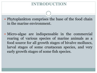 INTRODUCTION
 Phytoplankton comprises the base of the food chain
in the marine environment.
 Micro-algae are indispensab...
