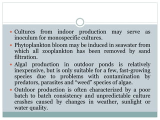  Cultures from indoor production may serve as
inoculum for monospecific cultures.
 Phytoplankton bloom may be induced in...