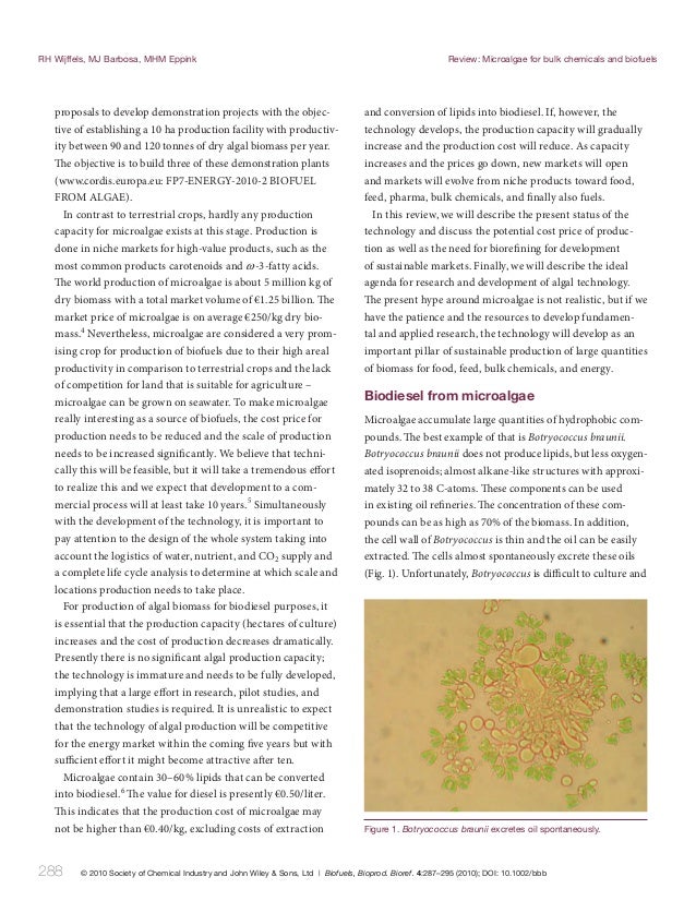 research review paper biodiesel from microalgae research review paper biodiesel from microalgae