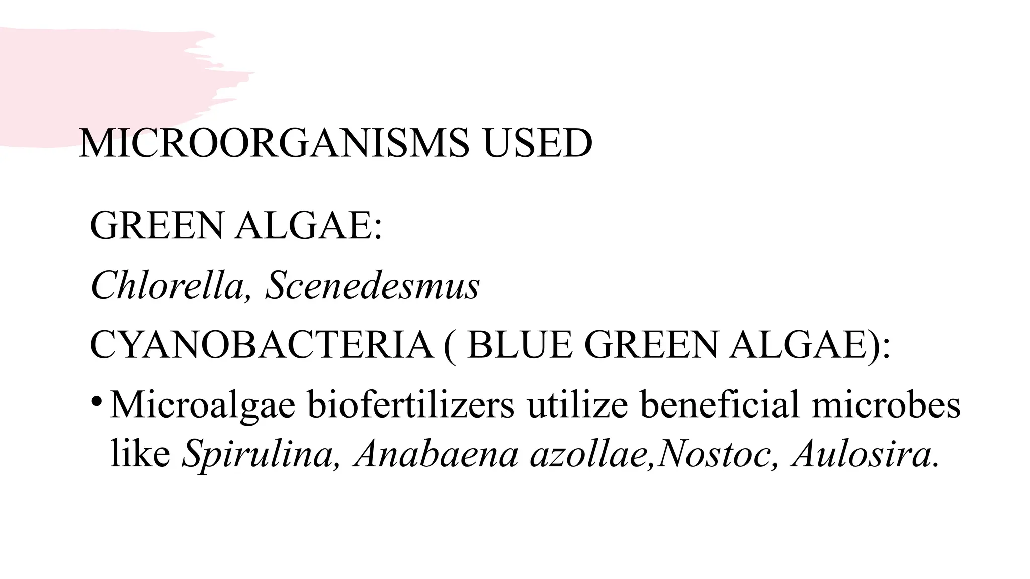MICROORGANISMS USED
GREEN ALGAE:
Chlorella, Scenedesmus
CYANOBACTERIA ( BLUE GREEN ALGAE):
•Microalgae biofertilizers utilize beneficial microbes
like Spirulina, Anabaena azollae,Nostoc, Aulosira.
 