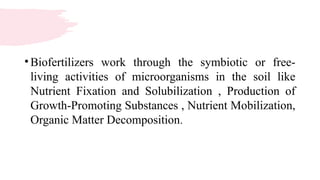 •Biofertilizers work through the symbiotic or free-
living activities of microorganisms in the soil like
Nutrient Fixation and Solubilization , Production of
Growth-Promoting Substances , Nutrient Mobilization,
Organic Matter Decomposition.
 