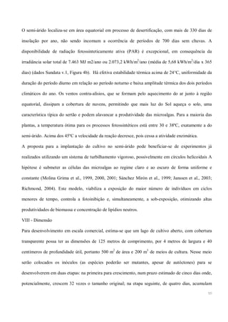 Mamona e a produção de biodiesel