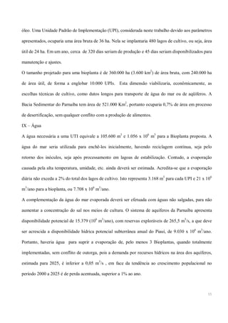 Mamona e a produção de biodiesel