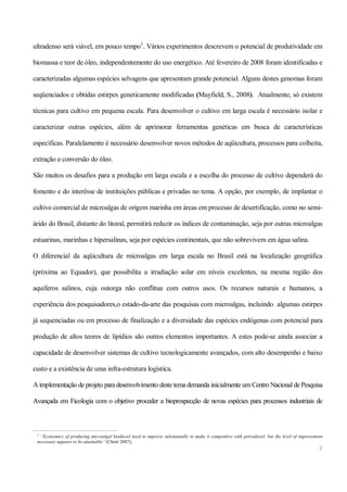 Mamona e a produção de biodiesel