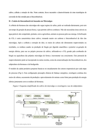 Mamona e a produção de biodiesel