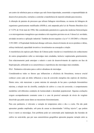 Mamona e a produção de biodiesel