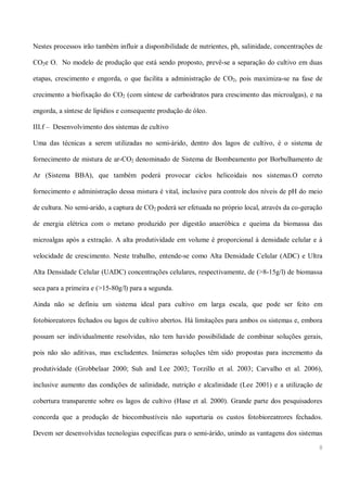 Mamona e a produção de biodiesel