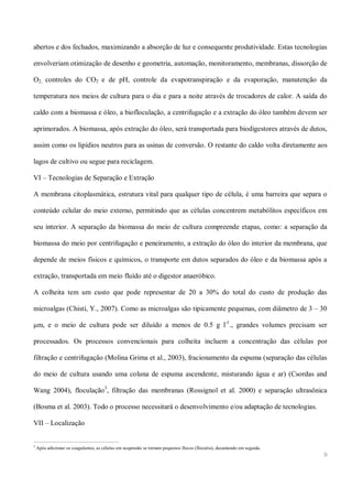 Mamona e a produção de biodiesel