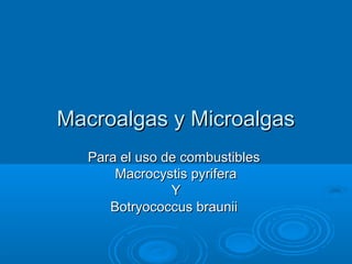 Macroalgas y MicroalgasMacroalgas y Microalgas
Para el uso de combustiblesPara el uso de combustibles
Macrocystis pyriferaMacrocystis pyrifera
YY
Botryococcus brauniiBotryococcus braunii
 