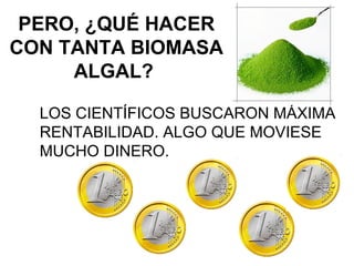 PERO, ¿QUÉ HACER
CON TANTA BIOMASA
     ALGAL?

  LOS CIENTÍFICOS BUSCARON MÁXIMA
  RENTABILIDAD. ALGO QUE MOVIESE
  MUCHO DINERO.
 