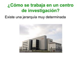 ¿Cómo se trabaja en un centro
     de investigación?
Existe una jerarquía muy determinada
 