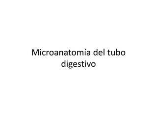 Microanatomía del tubo
digestivo
 