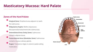 Microanatomy of the Oral Mucous Membrane.pptx