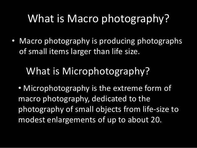 micro-and-macro-photography-2-638.jpg