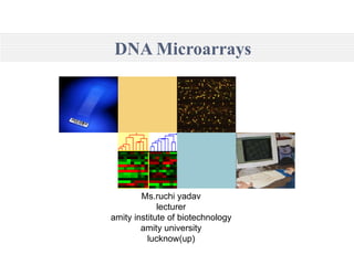 DNA Microarrays Ms.ruchi yadav lecturer amity institute of biotechnology amity university lucknow(up) 