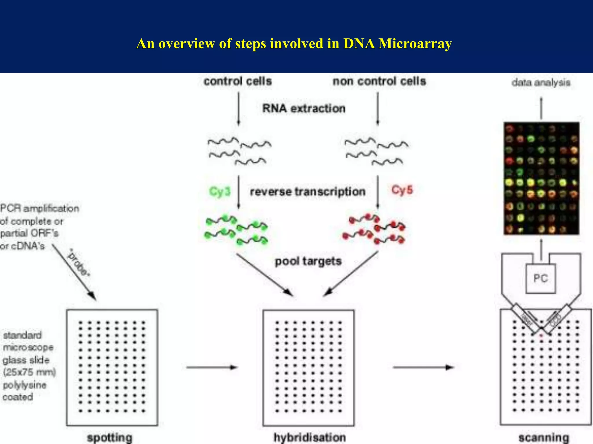 An overview of steps involved in DNA Microarray

 
