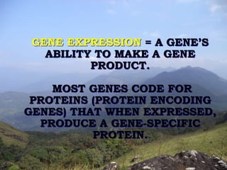 GENE EXPRESSION = A GENE’S 
ABILITY TO MAKE A GENE 
PRODUCT. 
MOST GENES CODE FOR 
PROTEINS (PROTEIN ENCODING 
GENES) THAT WHEN EXPRESSED, 
PRODUCE A GENE-SPECIFIC 
PROTEIN. 
 