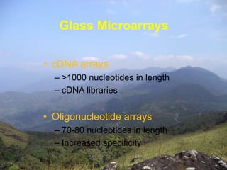 Glass Microarrays 
• cDNA arrays 
– >1000 nucleotides in length 
– cDNA libraries 
• Oligonucleotide arrays 
– 70-80 nucleotides in length 
– Increased specificity 
 