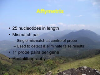 Affymetrix 
• 25 nucleotides in length 
• Mismatch pair 
– Single mismatch at centre of probe 
– Used to detect & eliminate false results 
• 11 probe pairs per gene 
• Photolithography 
 