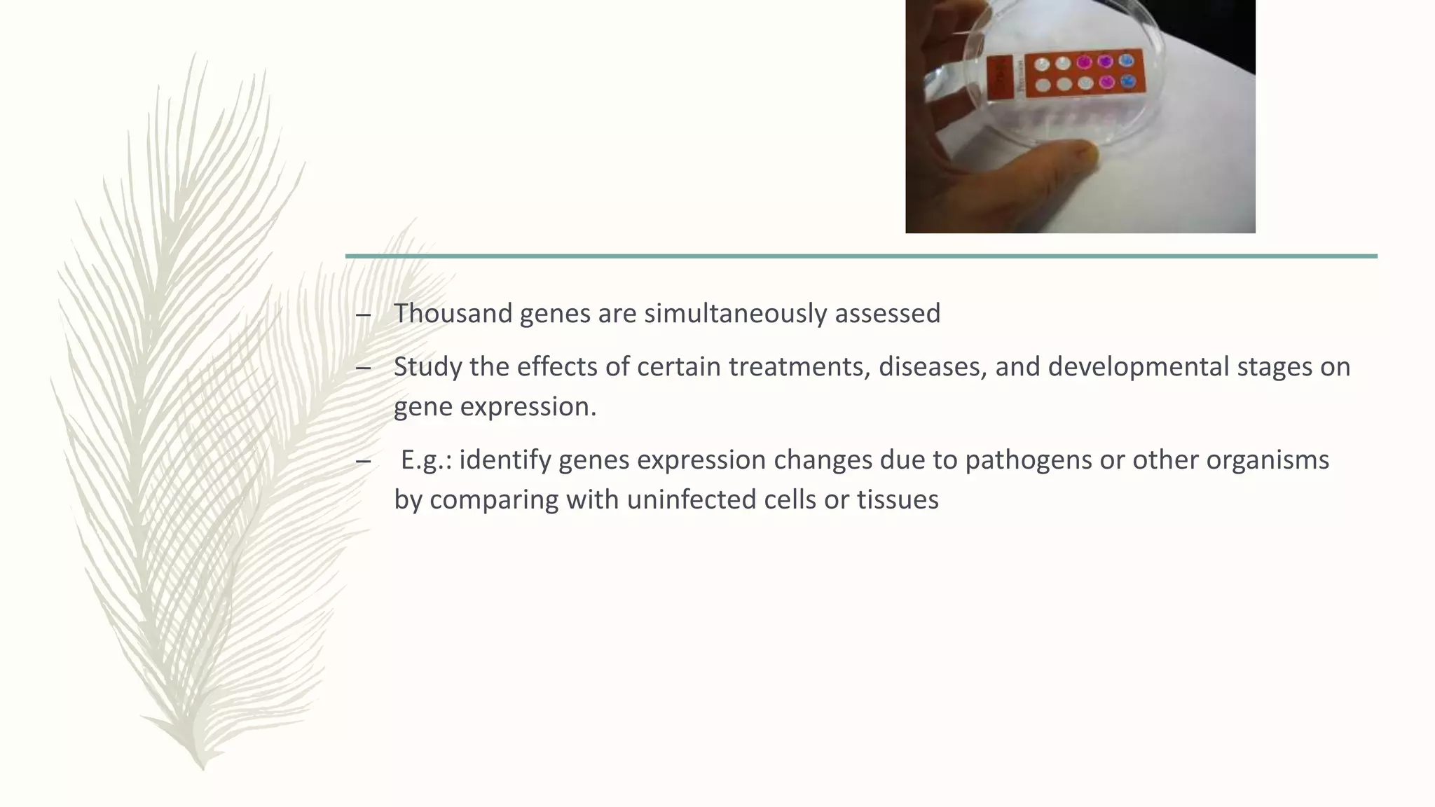 – Thousand genes are simultaneously assessed
– Study the effects of certain treatments, diseases, and developmental stages on
gene expression.
– E.g.: identify genes expression changes due to pathogens or other organisms
by comparing with uninfected cells or tissues
 