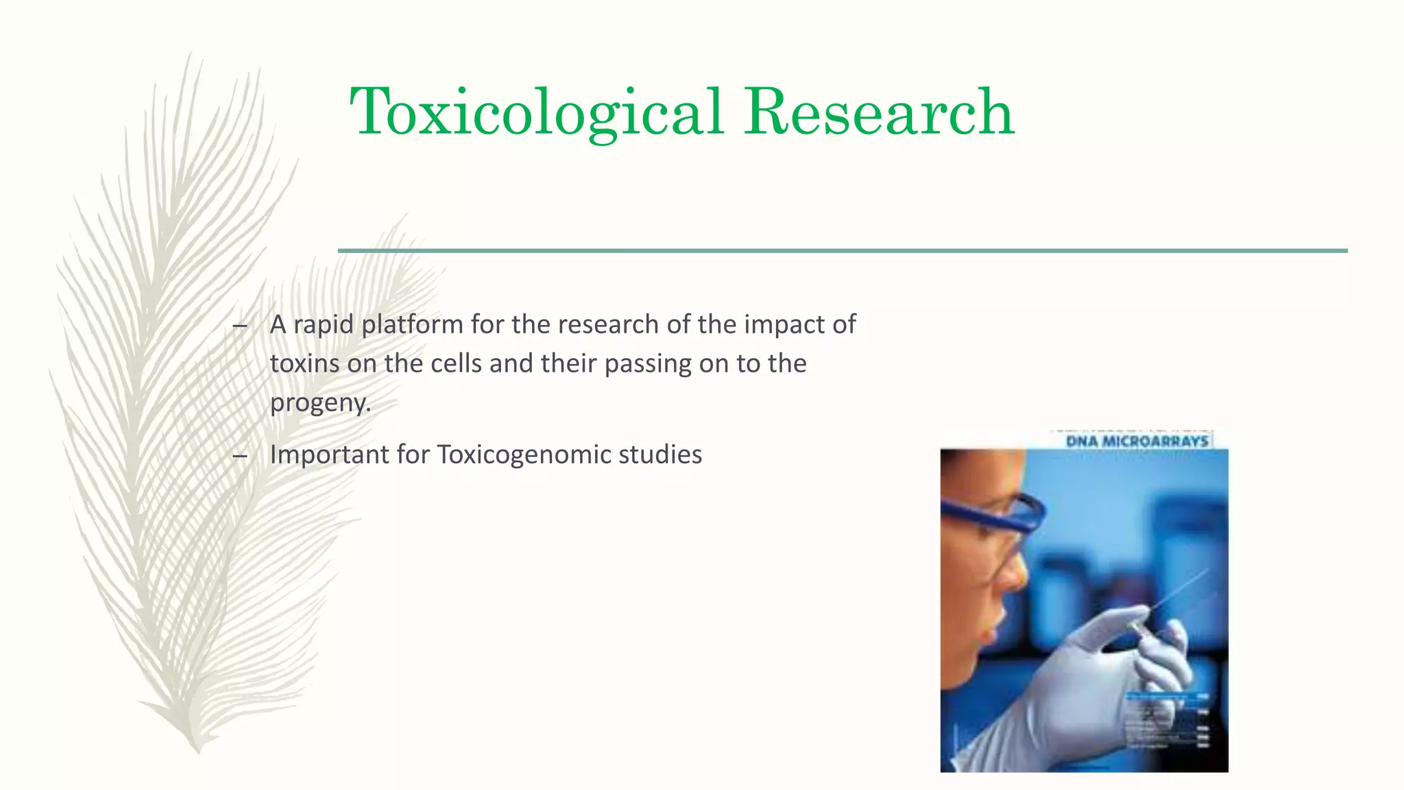 Toxicological Research
– A rapid platform for the research of the impact of
toxins on the cells and their passing on to the
progeny.
– Important for Toxicogenomic studies
 