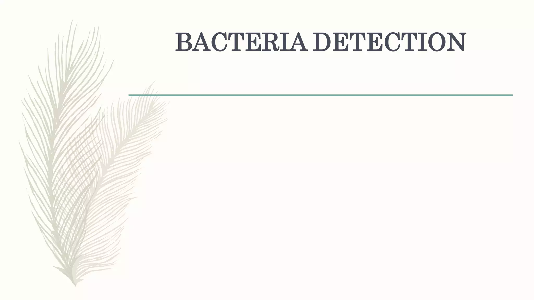 BACTERIA DETECTION
 
