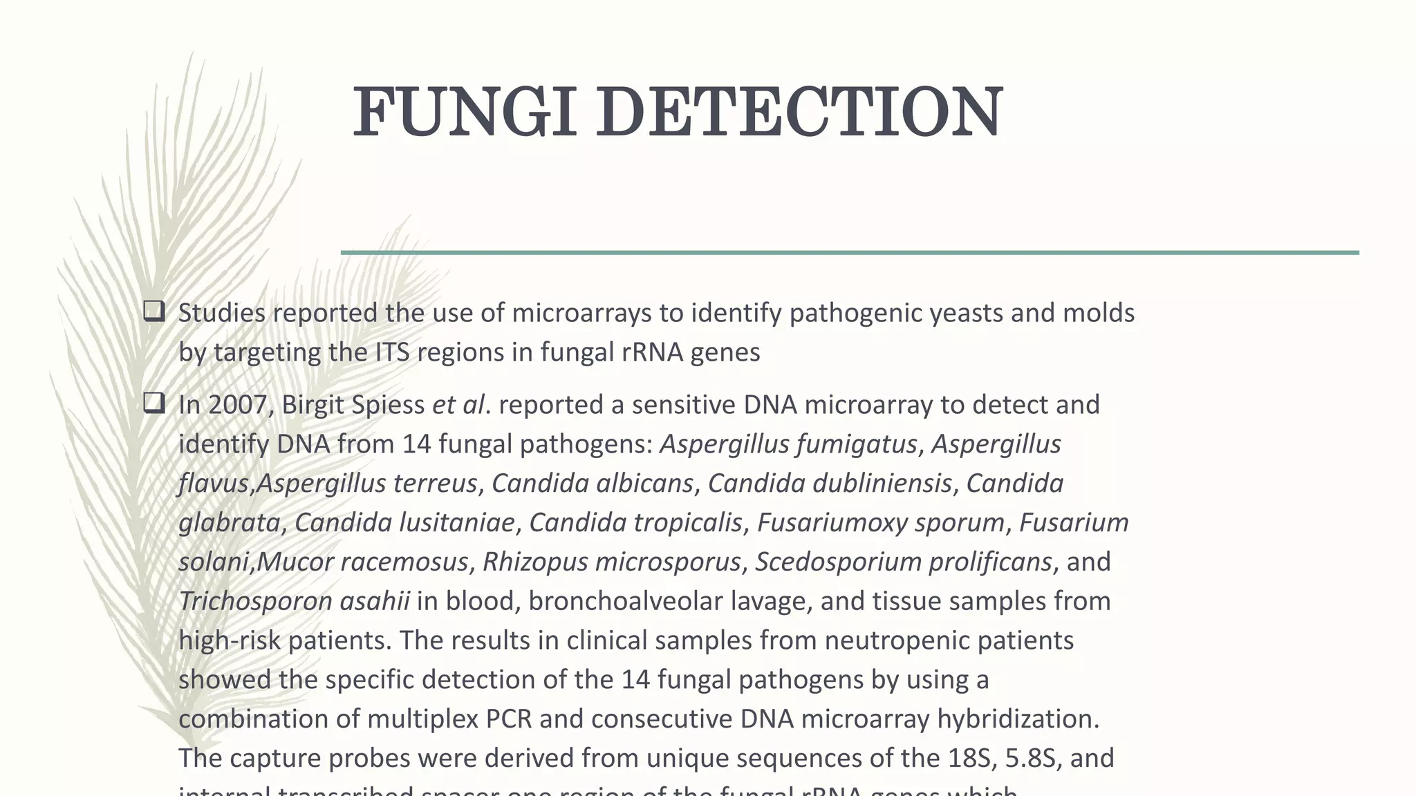 FUNGI DETECTION
 Studies reported the use of microarrays to identify pathogenic yeasts and molds
by targeting the ITS regions in fungal rRNA genes
 In 2007, Birgit Spiess et al. reported a sensitive DNA microarray to detect and
identify DNA from 14 fungal pathogens: Aspergillus fumigatus, Aspergillus
flavus,Aspergillus terreus, Candida albicans, Candida dubliniensis, Candida
glabrata, Candida lusitaniae, Candida tropicalis, Fusariumoxy sporum, Fusarium
solani,Mucor racemosus, Rhizopus microsporus, Scedosporium prolificans, and
Trichosporon asahii in blood, bronchoalveolar lavage, and tissue samples from
high-risk patients. The results in clinical samples from neutropenic patients
showed the specific detection of the 14 fungal pathogens by using a
combination of multiplex PCR and consecutive DNA microarray hybridization.
The capture probes were derived from unique sequences of the 18S, 5.8S, and
 