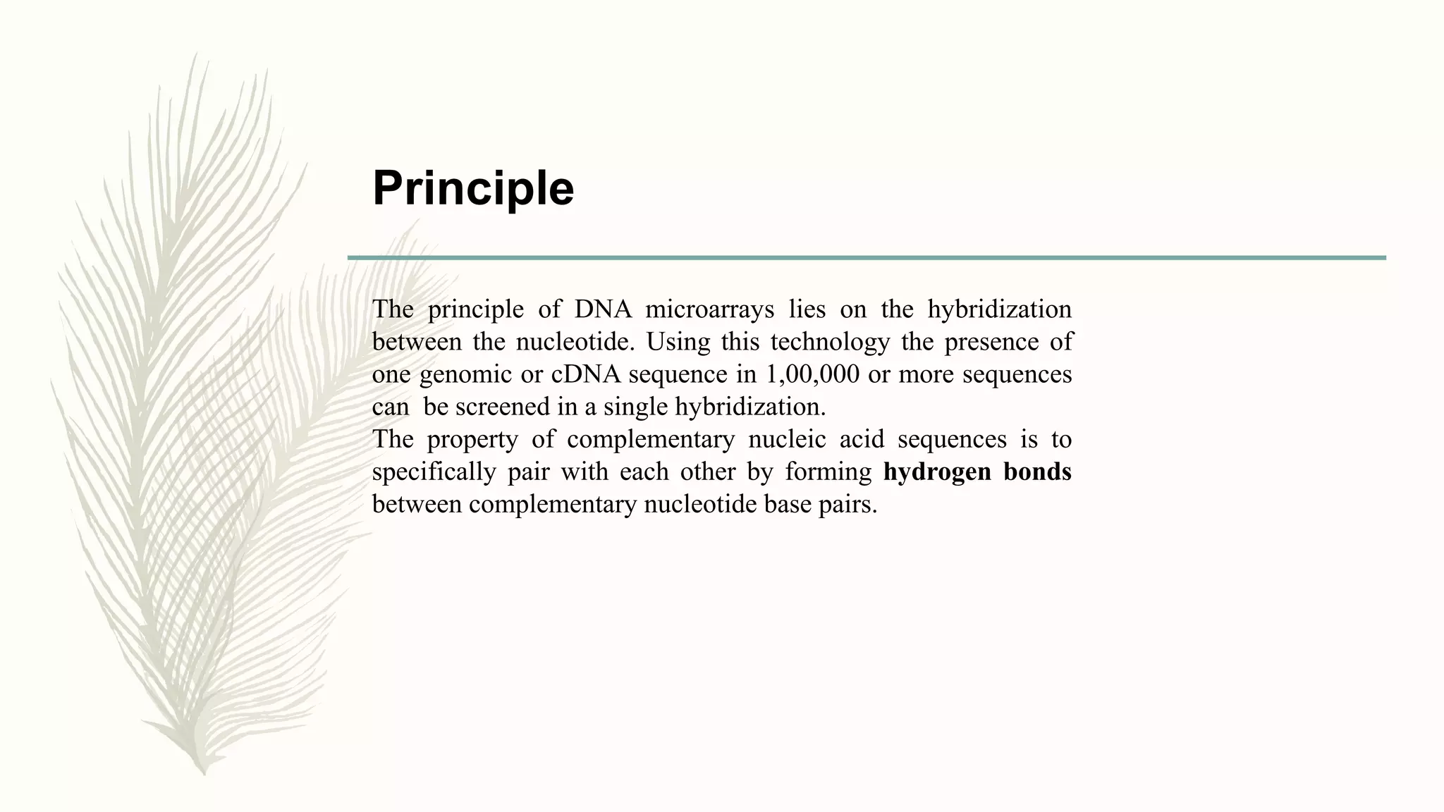 Principle
The principle of DNA microarrays lies on the hybridization
between the nucleotide. Using this technology the presence of
one genomic or cDNA sequence in 1,00,000 or more sequences
can be screened in a single hybridization.
The property of complementary nucleic acid sequences is to
specifically pair with each other by forming hydrogen bonds
between complementary nucleotide base pairs.
 