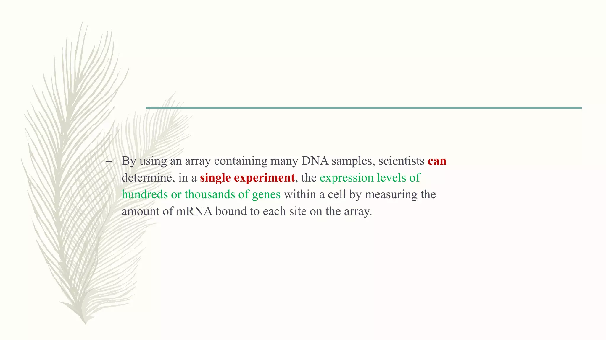 – By using an array containing many DNA samples, scientists can
determine, in a single experiment, the expression levels of
hundreds or thousands of genes within a cell by measuring the
amount of mRNA bound to each site on the array.
 