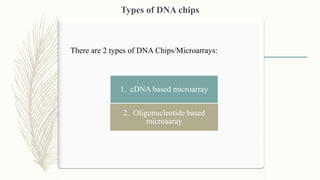 There are 2 types of DNA Chips/Microarrays:
Types of DNA chips
1. cDNA based microarray
2. Oligonucleotide based
microaaray
 