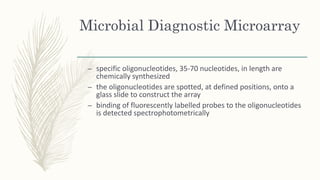 Microbial Diagnostic Microarray
– specific oligonucleotides, 35-70 nucleotides, in length are
chemically synthesized
– the oligonucleotides are spotted, at defined positions, onto a
glass slide to construct the array
– binding of fluorescently labelled probes to the oligonucleotides
is detected spectrophotometrically
 