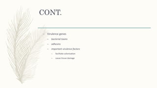 CONT.
– Virulence genes
– bacterial toxins
– adhesins
– important virulence factors
– facilitate colonisation
– cause tissue damage
 
