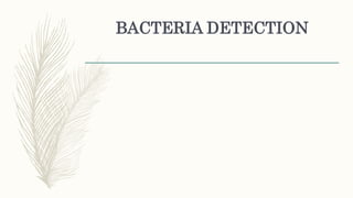 BACTERIA DETECTION
 
