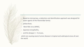 – Based on microarrays, a detection and identification approach was designed for
seven agents of the Flaviviridae family:
– yellow fever,
– West Nile virus (WNV),
– Japanese encephalitis,
– and the dengue 1 - 4 viruses,
which are causing severe human disease in tropical and subtropical areas all over
the world
 