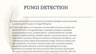 FUNGI DETECTION
 Studies reported the use of microarrays to identify pathogenic yeasts and molds
by targeting the ITS regions in fungal rRNA genes
 In 2007, Birgit Spiess et al. reported a sensitive DNA microarray to detect and
identify DNA from 14 fungal pathogens: Aspergillus fumigatus, Aspergillus
flavus,Aspergillus terreus, Candida albicans, Candida dubliniensis, Candida
glabrata, Candida lusitaniae, Candida tropicalis, Fusariumoxy sporum, Fusarium
solani,Mucor racemosus, Rhizopus microsporus, Scedosporium prolificans, and
Trichosporon asahii in blood, bronchoalveolar lavage, and tissue samples from
high-risk patients. The results in clinical samples from neutropenic patients
showed the specific detection of the 14 fungal pathogens by using a
combination of multiplex PCR and consecutive DNA microarray hybridization.
The capture probes were derived from unique sequences of the 18S, 5.8S, and
 