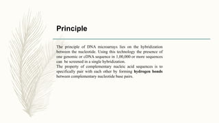 Principle
The principle of DNA microarrays lies on the hybridization
between the nucleotide. Using this technology the presence of
one genomic or cDNA sequence in 1,00,000 or more sequences
can be screened in a single hybridization.
The property of complementary nucleic acid sequences is to
specifically pair with each other by forming hydrogen bonds
between complementary nucleotide base pairs.
 