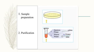 1. Sample
preparation
2. Purification
 