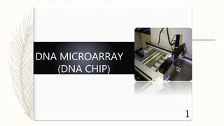 1
DNA MICROARRAY
(DNA CHIP)
 