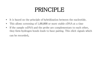 PRINCIPLE
• It is based on the principle of hybridization between the nucleotide.
• This allows screening of 1,00,000 or more stable cDNA at a time
• If the sample ssDNA and the probe are complementary to each other,
they form hydrogen bonds leads to base pairing. This elicit signals which
can be recorded.
 